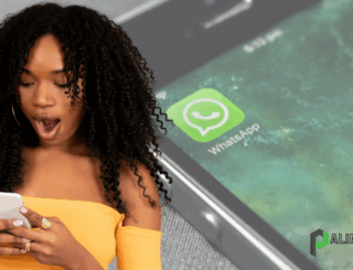 Como Restaurar Conversas Apagadas no WhatsApp