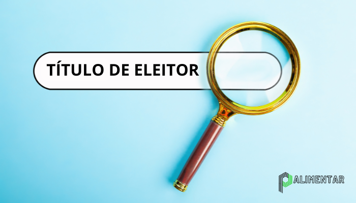 Como Consultar a Situação do Título de Eleitor