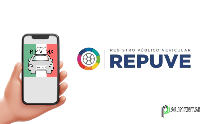 Consultar Placa de Veículo com o Celular – Rápido e Fácil
